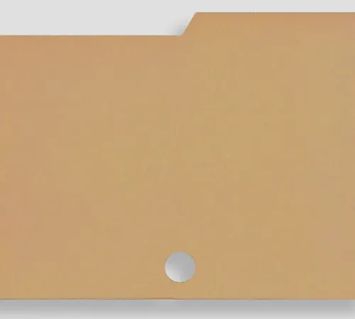 Karta przekładkowa - kartonowa - beżowa, z wypustką umieszczoną z boku.
